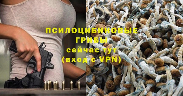 прущие крисы Михайловка