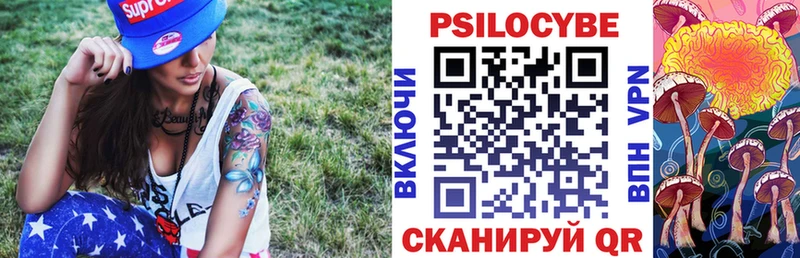 Купить где  Нариманов  Псилоцибиновые грибы Cubensis 
